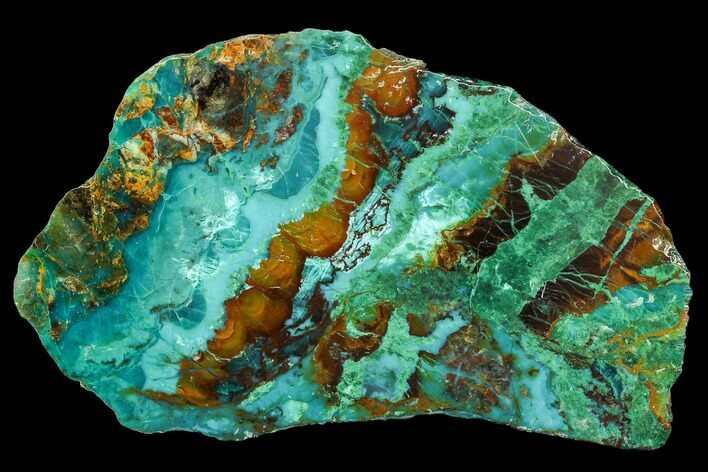 Polished Chrysocolla & Plume Malachite - Bagdad Mine, Arizona #107404